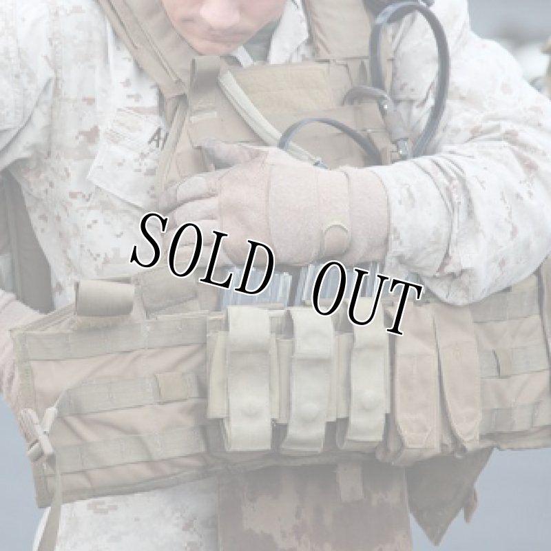 画像17: 米軍実物 USMC チェストリグ コヨーテ 海兵隊 SPC MTV FSBE PC IMTV    (17)