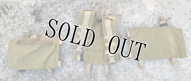 画像3: 海兵隊放出品 BDS TACTICAL チェストリグ ベスト (3)