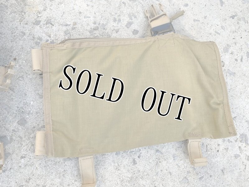 画像7: 海兵隊放出品 BDS TACTICAL チェストリグ ベスト (7)