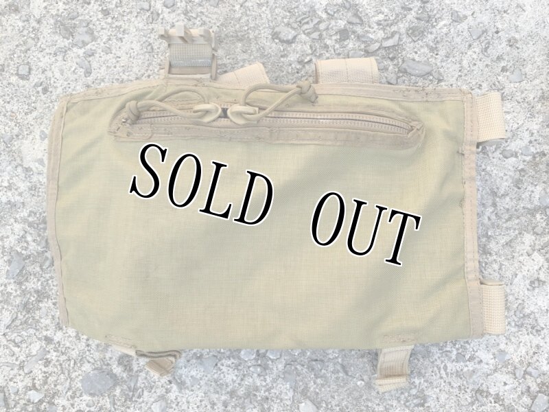 画像6: 海兵隊放出品 BDS TACTICAL チェストリグ ベスト (6)