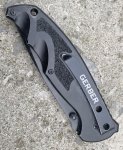 画像2: 米軍放出品　GERBER Answer F.A.S.T. SM Drop Pt Fine Edge  (2)