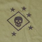 画像3: 米軍放出品　US MARINES RAIDERS MARSOC  Tシャツ　LARGE (3)