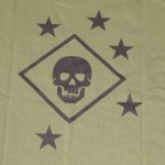 画像4: 米軍放出品　US MARINES RAIDERS MARSOC  Tシャツ　MEDIUM (4)
