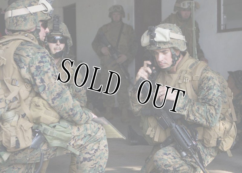 画像14: 海兵隊実物 USMC LWH ライトウェイト  ヘルメット　M (14)