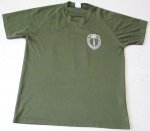 画像2: 米軍実物 AMPHIBIOUS RAIDS BRANCH INSTRUCTOR Tシャツ　MEDIUM (2)