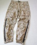 画像1: 米軍実物 デザートマーパット GORE-TEX 　パンツ  (1)