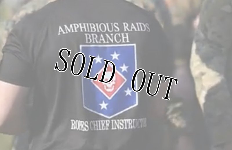 画像8: 米軍実物 AMPHIBIOUS RAIDS BRANCH Tシャツ COTTON OD (8)