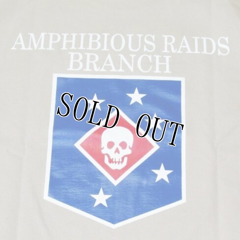 画像4: 米軍実物 AMPHIBIOUS RAIDS BRANCH Tシャツ TAN (4)