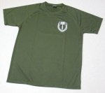 画像2: 米軍実物 AMPHIBIOUS RAIDS BRANCH Tシャツ　DRY OD (2)