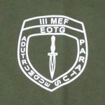 画像1: 米軍実物 AMPHIBIOUS RAIDS BRANCH Tシャツ　COTTON　OD (1)