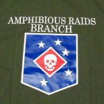 画像4: 米軍実物 AMPHIBIOUS RAIDS BRANCH Tシャツ　COTTON　OD (4)