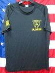 画像2: 米軍実物　3D　RECONNAISSANCE BN　SERGEANT OF THE GUERD　Tシャツ　LARGE (2)