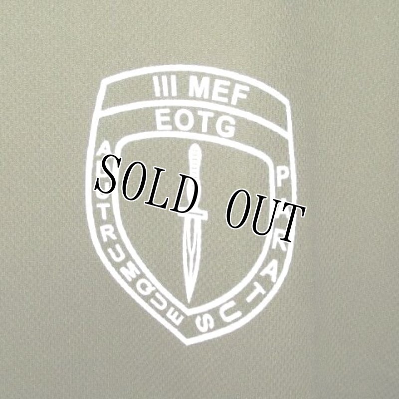 画像3: 米軍実物 AMPHIBIOUS RAIDS BRANCH Tシャツ　DRY OD　XXL (3)