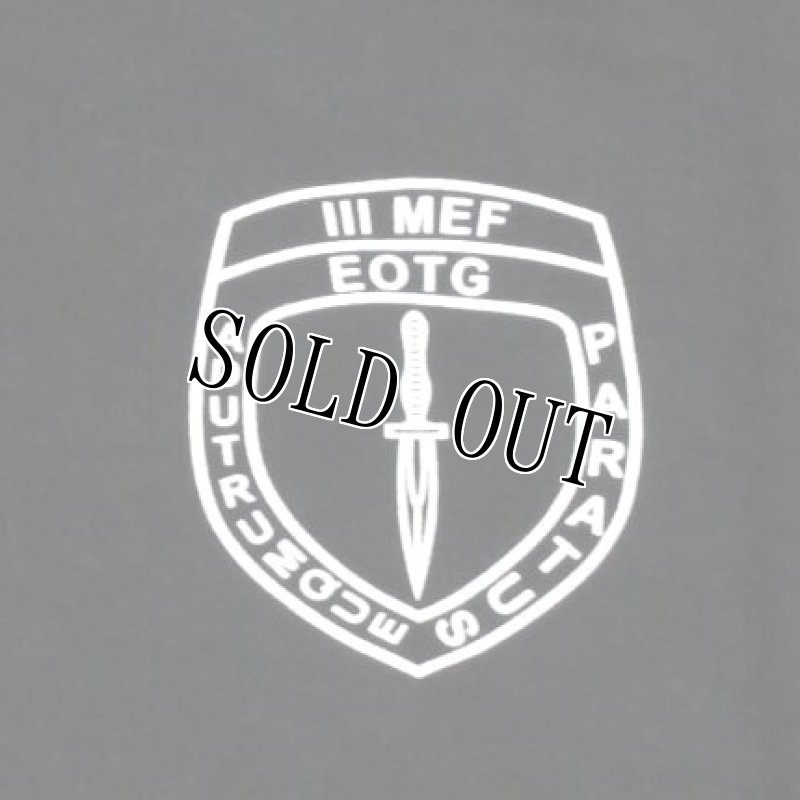 画像3: 米軍実物 AMPHIBIOUS RAIDS BRANCH　スウェットパーカー　 (3)