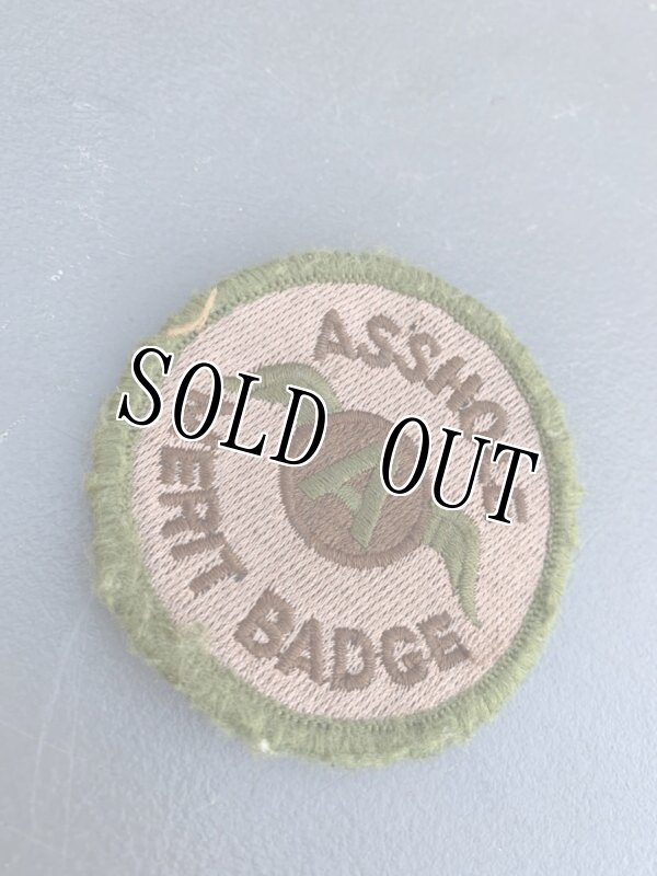 画像1: 米軍放出品 ASSHOLE MERIT BADGE　ワッペン (1)