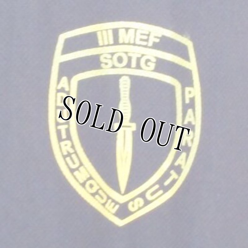 画像3: 米軍実物 EXPEDITIONARY WARFARE TRST MASTER Tシャツ DRY  L (3)