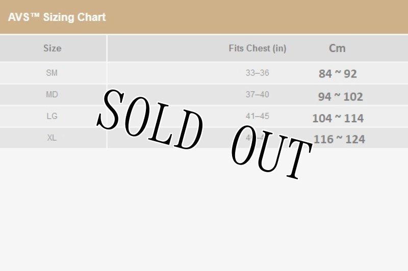 画像20: 激レア 米軍実物 CRYE PRECISIONM   アダプティブベストシステム フルセット (20)