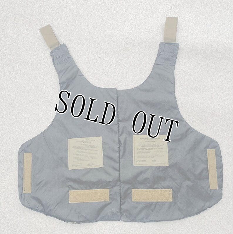 画像7: 米軍実物 インターセプターボディーアーマーセット　M (7)