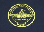 画像3: 米軍実物 AMPHIBIOUS RECONNAISSANCE　USMC　 ロングスリーブTシャツ　LARGE (3)