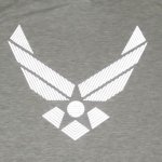 画像1: 米軍実物 US AIR FORCE　トレーニングTシャツ　MEDIUM (1)