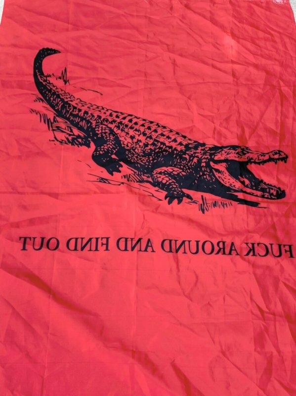 画像3: 米軍放出品 FUCK AROUND and Find Out 3x5 フラッグ  (3)