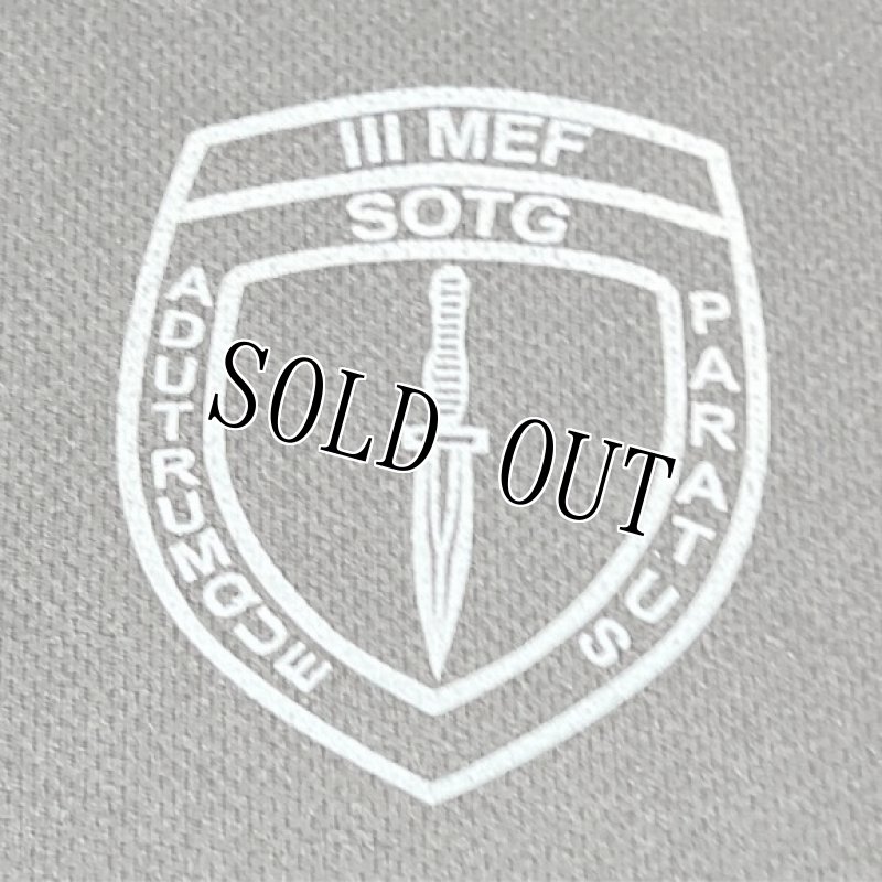 画像4: 米軍放出品 SPECIAL MISSIONS BRANCH 3 SOTG　Tシャツ　XL (4)