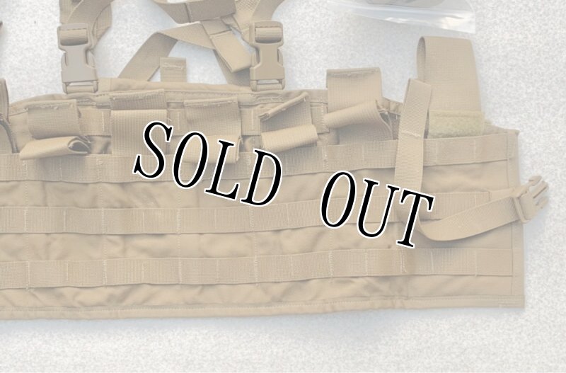 画像9: 米軍実物 USMC チェストリグ コヨーテ 海兵隊 SPC MTV FSBE PC IMTV    (9)