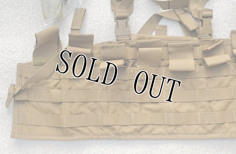 画像8: 米軍実物 USMC チェストリグ コヨーテ 海兵隊 SPC MTV FSBE PC IMTV    (8)