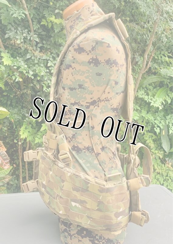 画像2: 激レア 米軍実物 EAGLE  HG-VS-MS-5CCA H-HARNESS　マルチ (2)