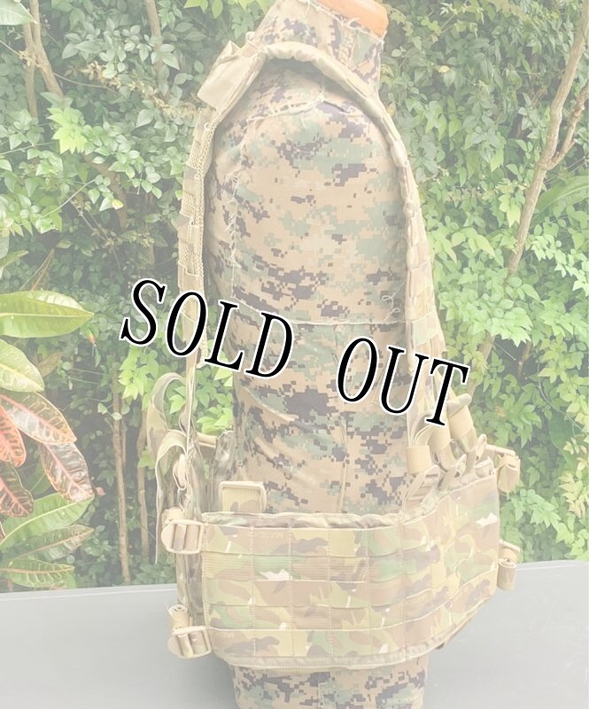 画像4: 激レア 米軍実物 EAGLE  HG-VS-MS-5CCA H-HARNESS　マルチ (4)