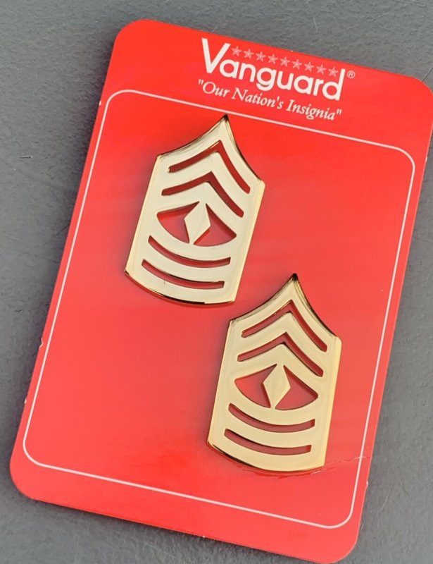 画像3: 米軍放出品 MC CHEVRON ANODIZED 22K GLD PL 1SG SGT (3)