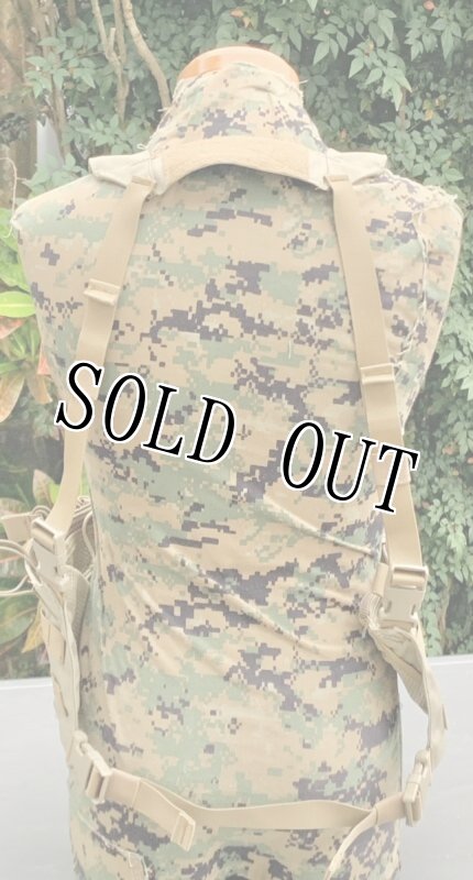 画像3: 海兵隊実物 オードナンス リーコン チェストリグ MARSOC RECON コヨーテ (3)