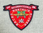 画像1: 米軍海兵隊 3RD RECONNAISSANCE リーコン 海兵隊 (1)