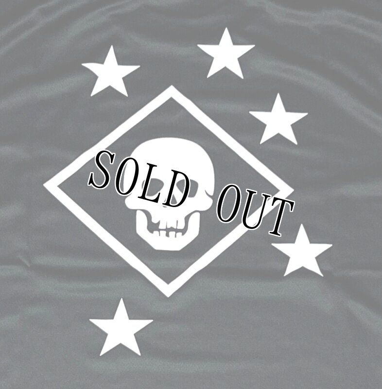 画像4: 米軍放出品 US MARINES RAIDERS MARSOC DRYTシャツ SMALL (4)