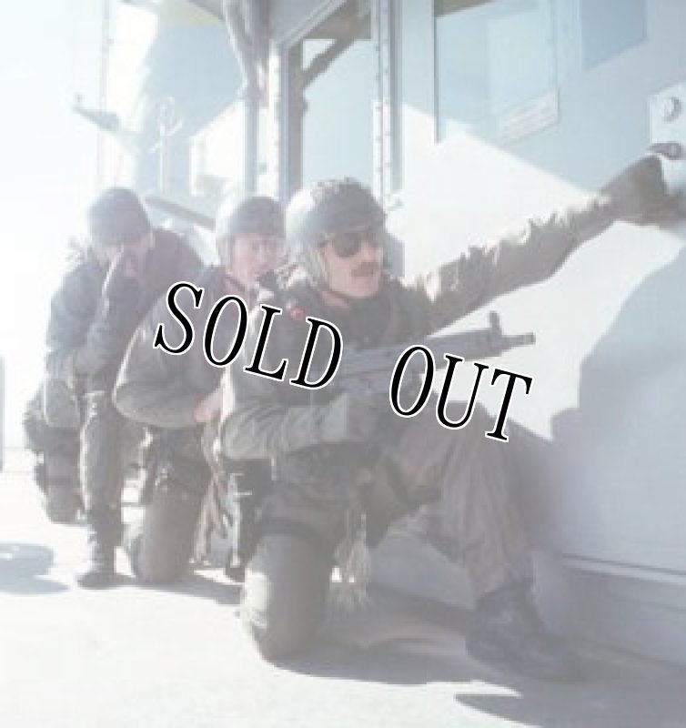 画像15: 米軍実物 navy seal protec レスキュー ヘルメット  WILCOX L2G05 NVG マウント M  (15)