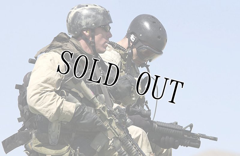 画像13: 米軍実物 navy seal protec レスキュー ヘルメット  WILCOX L2G05 NVG マウント M  (13)