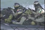 画像14: 米軍実物 navy seal protec レスキュー ヘルメット  WILCOX L2G05 NVG マウント　M  (14)