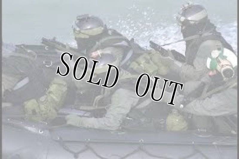 画像14: 米軍実物 navy seal protec レスキュー ヘルメット  WILCOX L2G05 NVG マウント M  (14)