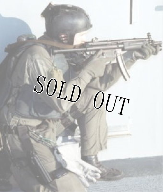 画像16: 米軍実物 navy seal protec レスキュー ヘルメット  WILCOX L2G05 NVG マウント M  (16)