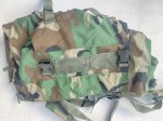 画像4: 米軍実物 ウッドランド MOLLE パトロールパック バックパック (4)