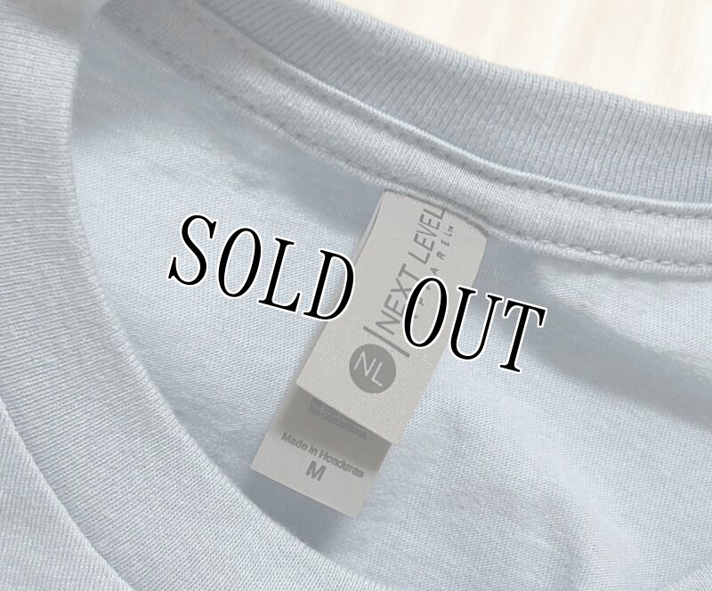 画像5: 米軍放出品 USAF PEDRO RESCUE Tシャツ MEDIUM (5)