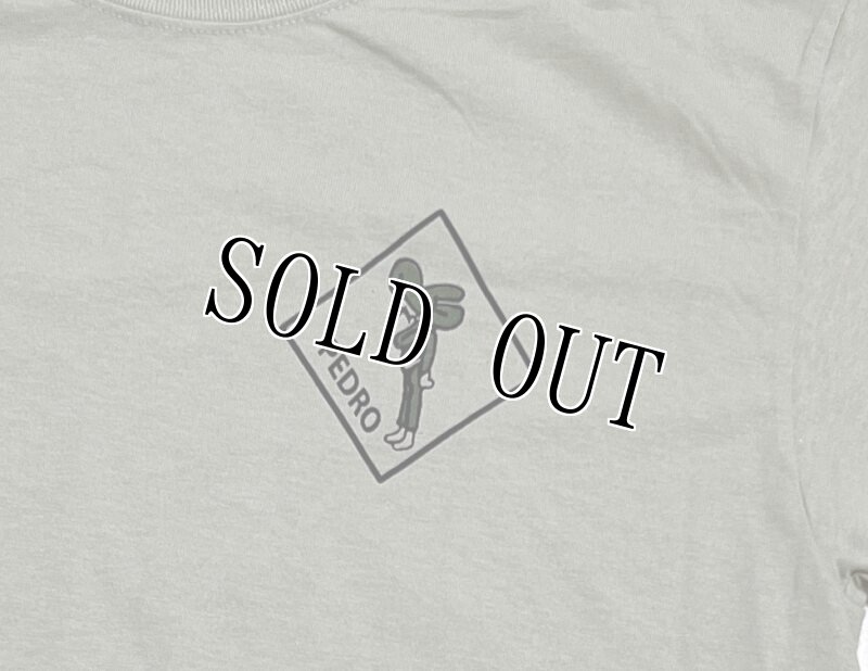 画像2: 米軍放出品 GELDAN USAF PEDRO Tシャツ MEDIUM (2)