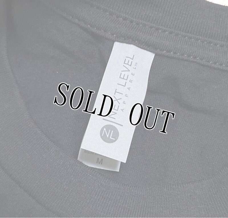 画像4: 米軍放出品 USAF PEDRO RESCUE Tシャツ MEDIUM (4)