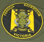 画像5: 米軍放出品　SECOND RECRUIT TRAINING BATTALION　Tシャツ　LARGE (5)