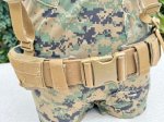 画像5: 米海兵隊放出品  タスマニアンタイガー    ウォーリアーベルト　MK3  (5)