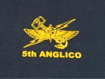 画像2: 米軍実物　USMC　5th　ANGLICO　Tシャツ　 (2)