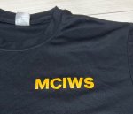 画像3: 米軍実物　USMC　MCIWS　Tシャツ　MEDIUM (3)