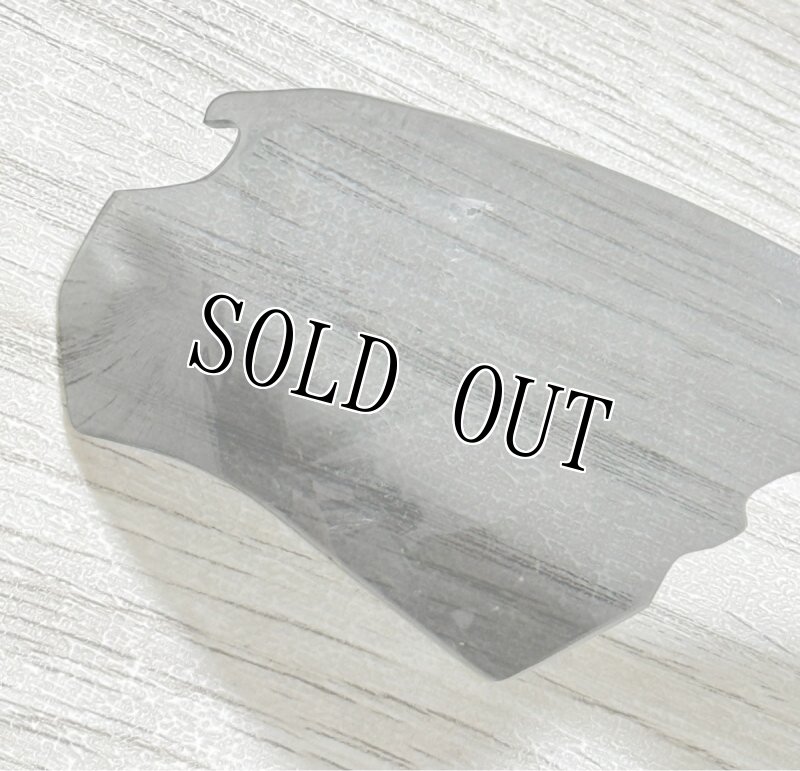 画像9: 米軍実物 APEL CROSSBOW ESSサングラス (9)