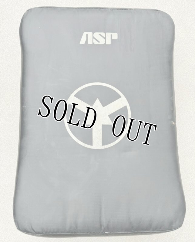 画像1: 米軍実物 ASP 格闘技 パンチングパッド トレーニングバッグ (1)