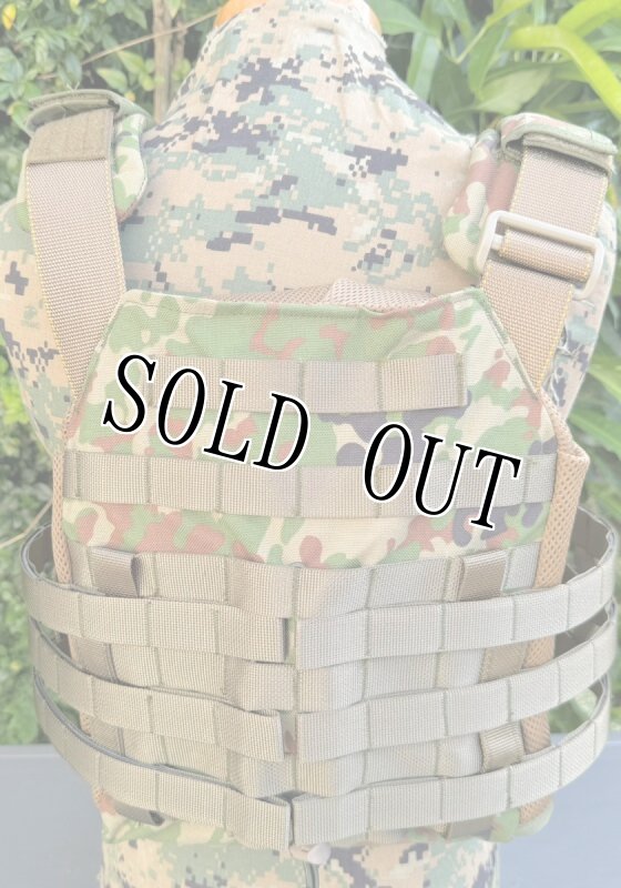 画像5: 陸上自衛隊 新型オードナンス  陸自迷彩パターン プレートキャリア　 L (5)